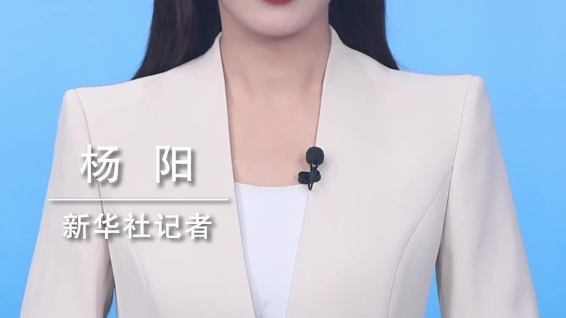 软件测试流程培训视频：揭秘高效测试的秘诀